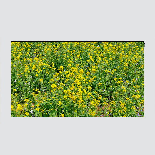 <b>46寸3.5MM高清液晶拼接单元</b>